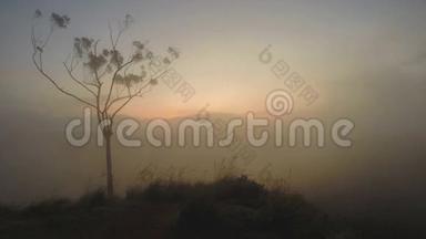 神奇的太阳升起，薄雾通过山和树的轮廓在埃拉峰，斯里兰卡。